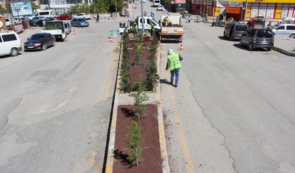 Van’da peyzaj çalışmaları devam ediyor