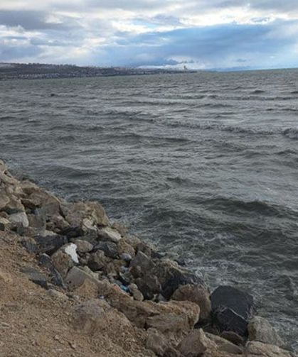 Van Gölü’nde bu yıl yüzleri güldüren tablo