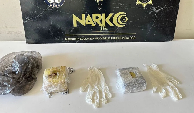 Van'da 29 şüpheli gözaltına alındı