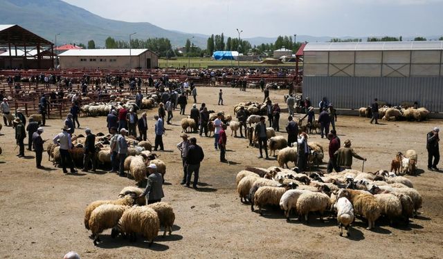 Bakan Yumaklı duyurdu! Vanlı üreticilere müjde