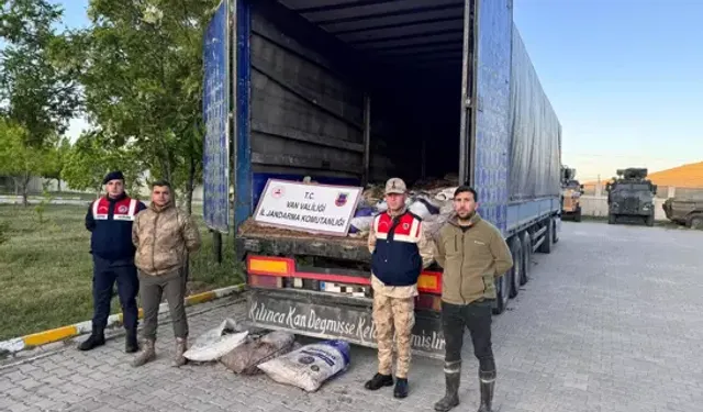 Van'da 19 ton ölü inci kefali ele geçirildi