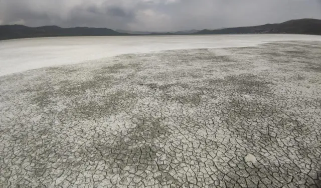 Van'daki kuş cenneti kurudu