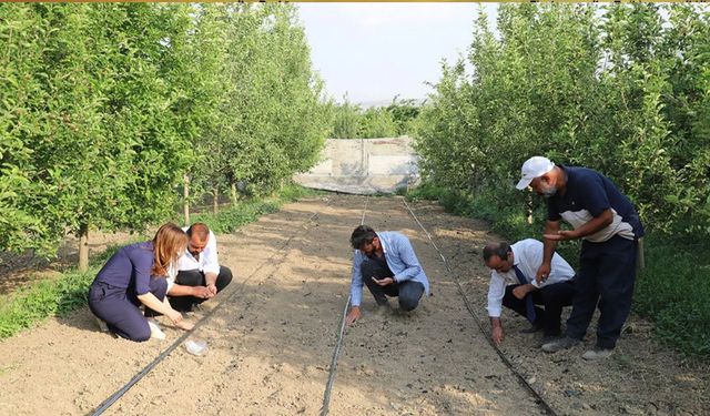 Van'da Sıhke Kavunu tohumları toprakla buluştu