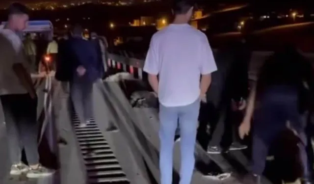 Van'da trafik kazası! 8 koyun telef oldu