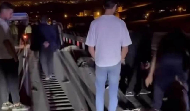 Van'da kamyonet sürüye çarptı! 8 koyun telef oldu