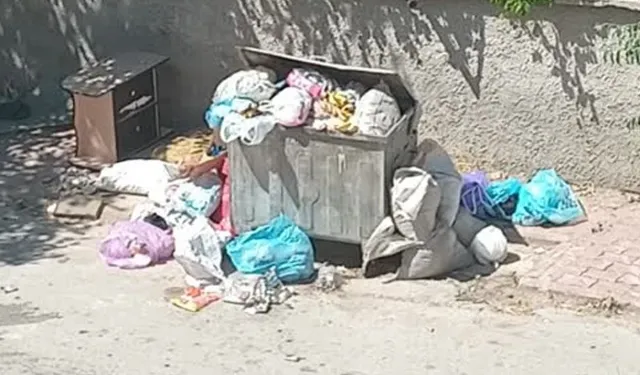 Van’da kurban atıkları kötü kokuya neden oldu
