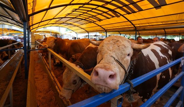 10 soruda kurbanla ilgili merak edilenler
