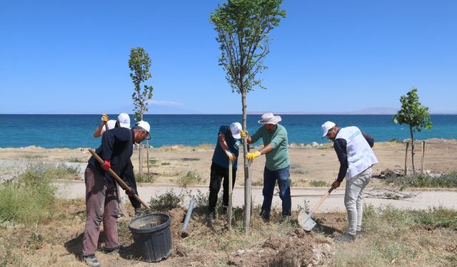 Edremit Sahilindeki  Modern Mesire Alanı Projesi başladı