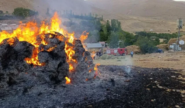 Gevaş'ta ot yangını