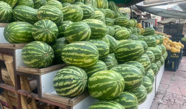 Yaz aylarının serinleten meyvesi