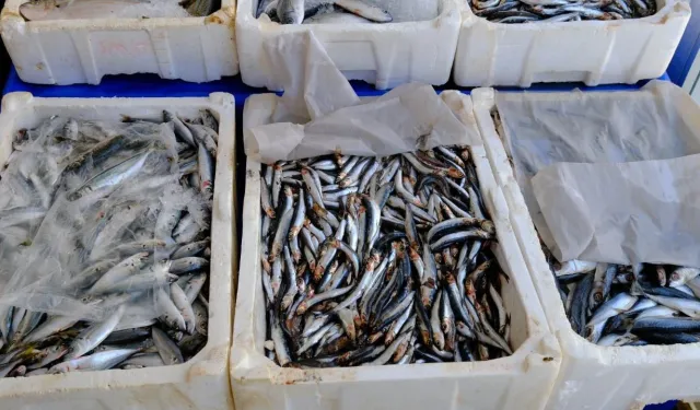 Van’da balık fiyatları belli oldu