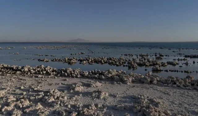 Van Gölü'nde kuraklık alarmı!