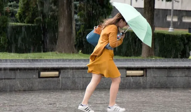 Van için hava tahmini paylaşıldı: Kuvvetli rüzgar, yağmur…