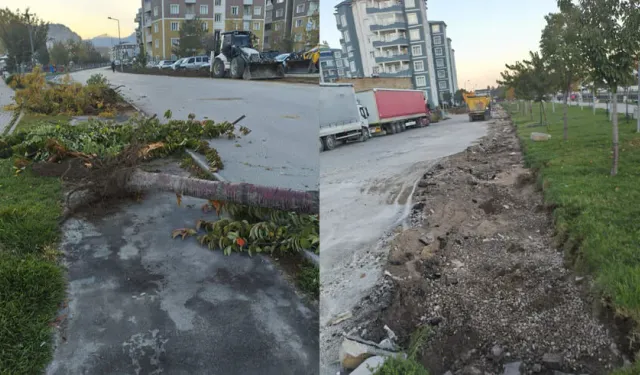 Akköprü Deresi Parkı’nda ağaçlar bir bir yok oluyor