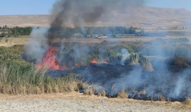 Van Gölü Havzası’nda ekosistem alarmı