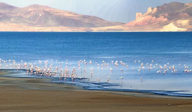 Erçek Gölü metrelerce çekildi