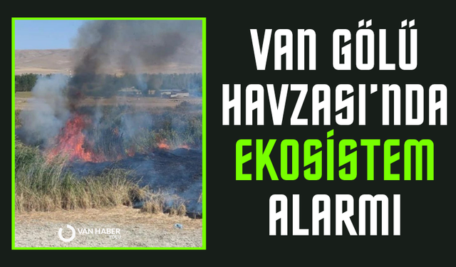 Van Gölü Havzası’nda ekosistem alarmı
