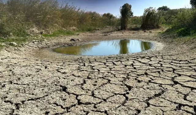 Van’da üretim alarm veriyor: Prof. Dr. Tunçtürk’ten iklim değişikliği değerlendirmesi