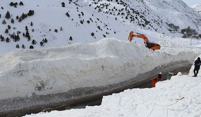 Van’da yolu kapalı 22 yerleşim yeri kaldı