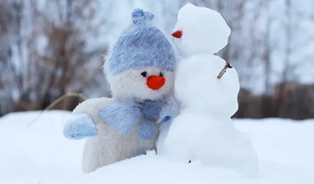 Van’ın o ilçesinde taşımalı eğitime ara verildi