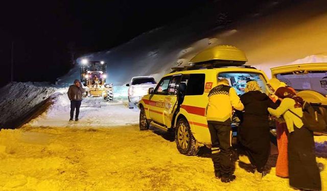 Van'da hamile kadın 5.5 saatlik çalışmayla hastaneye ulaştırıldı