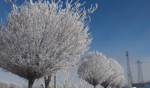 Van’da Sibirya Soğukları Etkisini Artırdı: Ağaçlar Kırağı Tuttu, Göletler Dondu