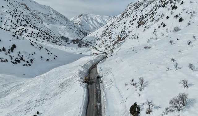 Van-Çatak yolu kar ve çığ riski nedeniyle trafiğe kapatıldı