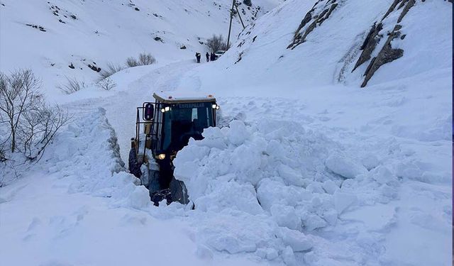 Van’da çığ nedeniyle yolu kapanan mahalledeki 2 hasta ekiplerce hastaneye ulaştırıldı