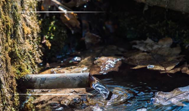 Gürpınar Bejingir Kaynağı’nda su alarmı