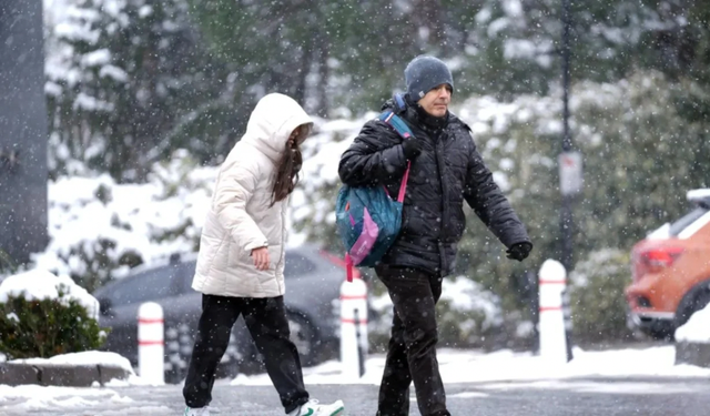 Van’da yarın okullar tatil mi? Resmi açıklama yapıldı mı?