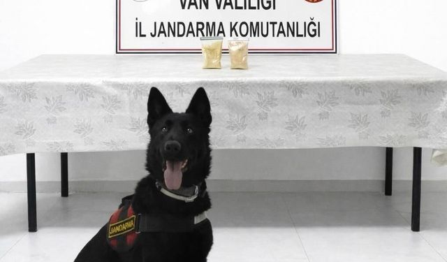 Van Başkale’de uyuşturucu darbesi: İran uyruklu şahsın üzerinden 510 gram eroin çıktı