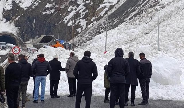 Hakkari-Van kara yoluna çığ düştü