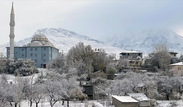 Meteoroloji uyardı: Van’da kar akşama kadar sürecek, çığ tehlikesi kapıda!