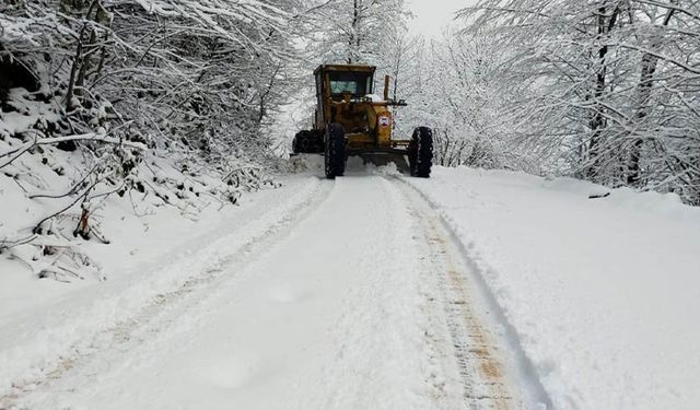 Van’da kar yeniden bastırdı! 143 yerleşim yeri yolu kapandı