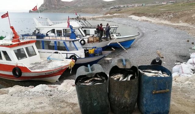 Van Gölü’nde 90 günlük av yasağı başladı