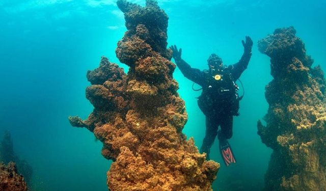 Van Gölü’nün dev mikrobiyalitleri dünya rekoru yolunda