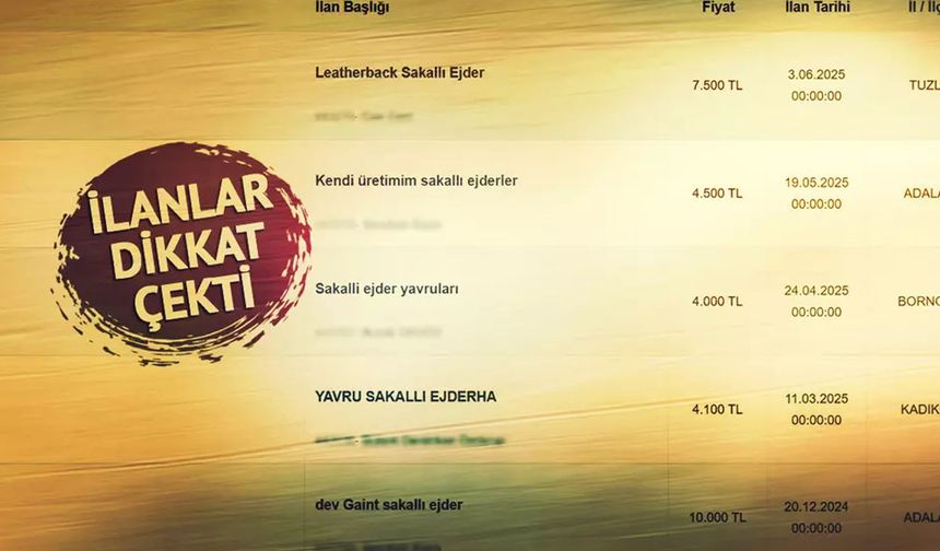 10 bin TL'ye satıyorlar, 60 bin TL cezası var!