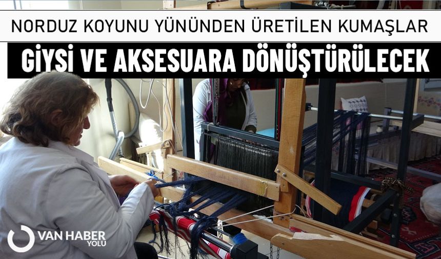 Norduz koyunu yününden üretilen kumaşlar, giysi ve aksesuara dönüştürülecek