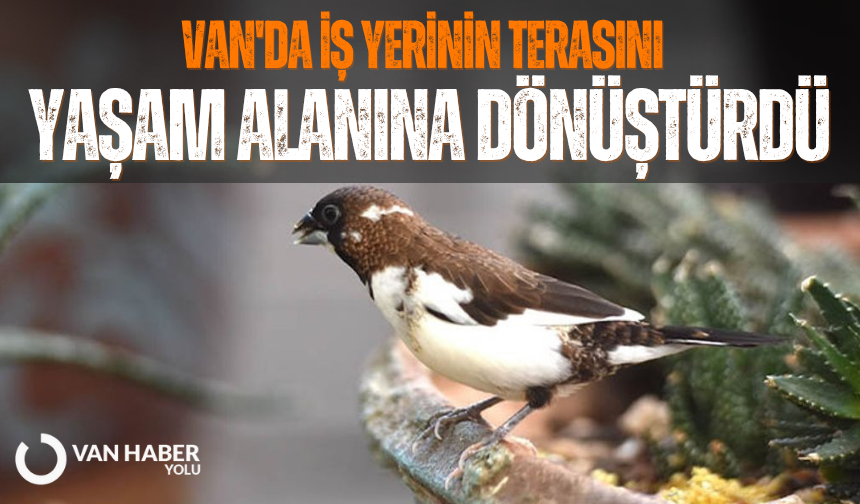 Van'da iş yerinin terasını yaşam alanına dönüştürdü