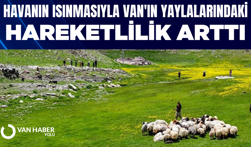 Havanın ısınmasıyla Van'ın yaylalarındaki hareketlilik arttı