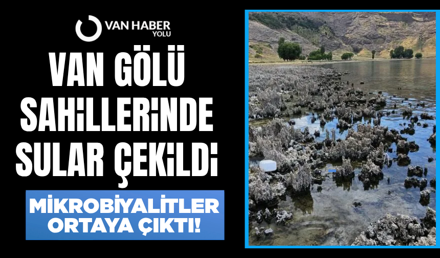 Van Gölü sahillerinde sular çekildi