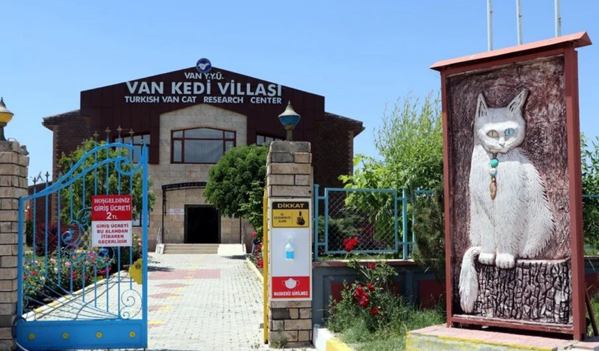 Van Kedi Evi'ne nasıl gidilir?