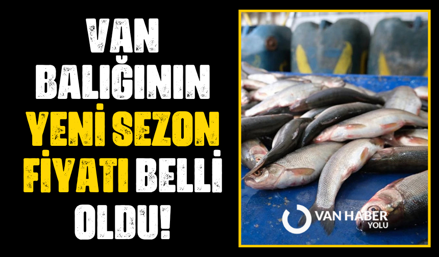 Van Balığının yeni sezon fiyatı belli oldu!