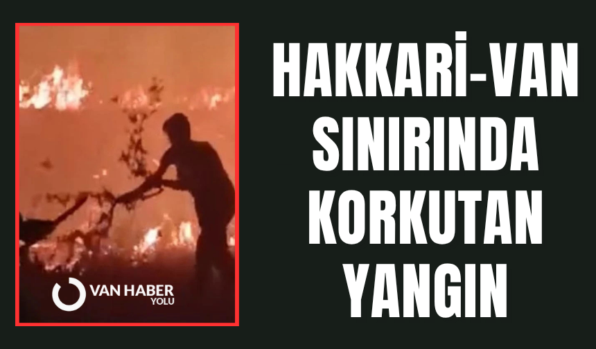 Hakkari-Van Sınırında Korkutan Yangın