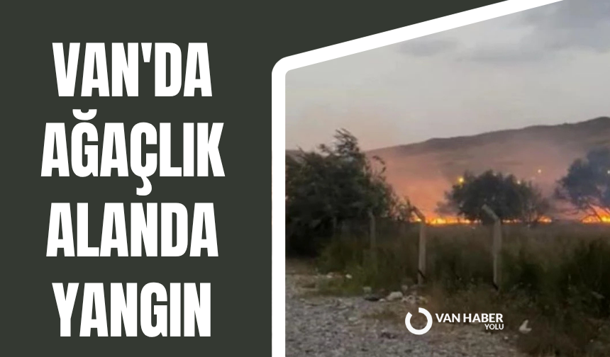 Van'da ağaçlık alanda yangın