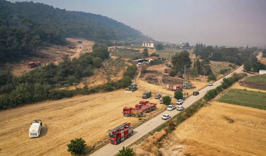Orman yangınlarına müdahaleler devam ediyor