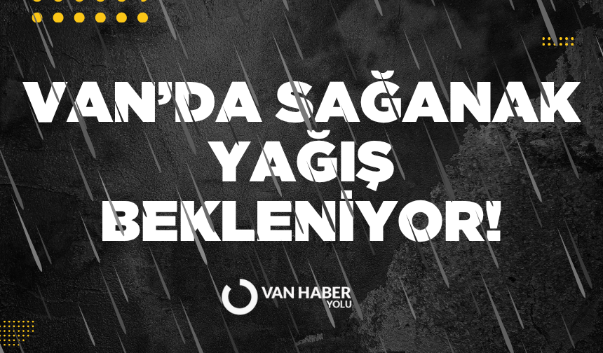 Van için hava tahmini paylaşıldı: Kuvvetli rüzgar, yağmur…
