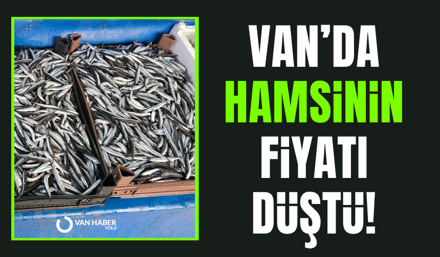 Van’da balık fiyatları değişti, Hamsinin fiyatı düştü!