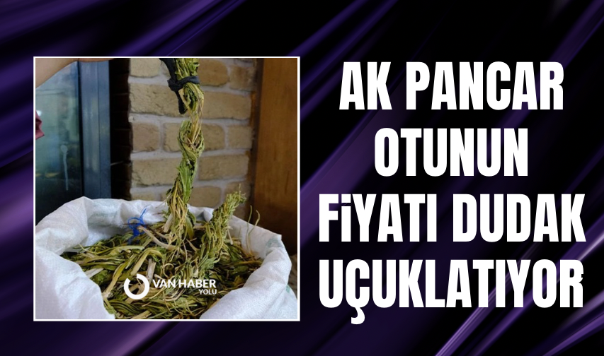 Ak pancar otunun fiyatı Vanlıları şaşkına çevirdi: Duyan kulaklarına inanamıyor!