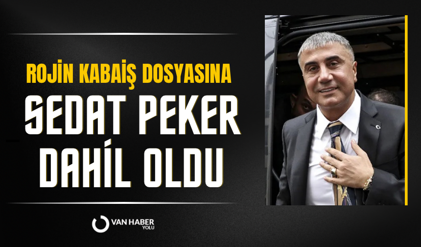Rojin Kabaiş dosyasına Sedat Peker dahil oldu: 25 milyon vereceğim